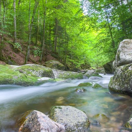 400Qm Bayerische Villa 2500Qm Uneinsehbarer Garten In Beliebter Urlaubsregion Фрайунг Экстерьер фото